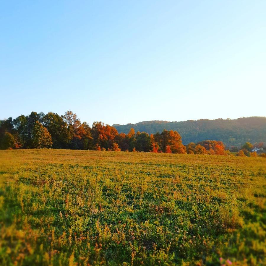 Apartment Odmor Na Selu Babajic