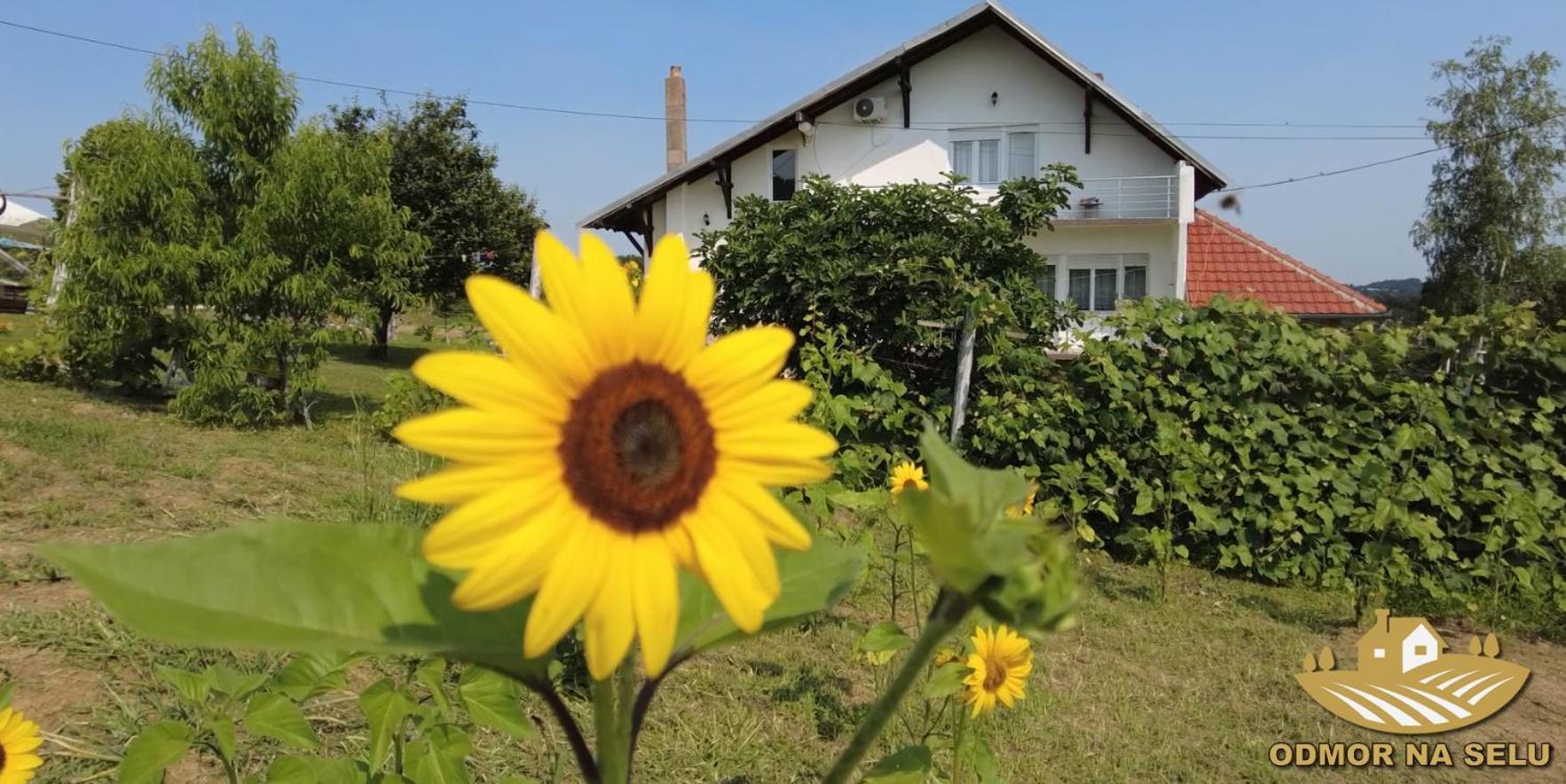 Odmor Na Selu Babajic Apartment *